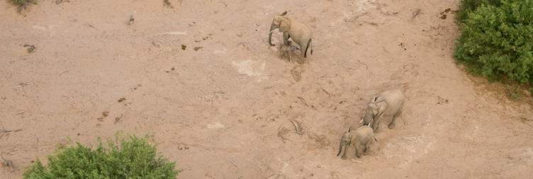 Damaraland - Wildlife & Adventure