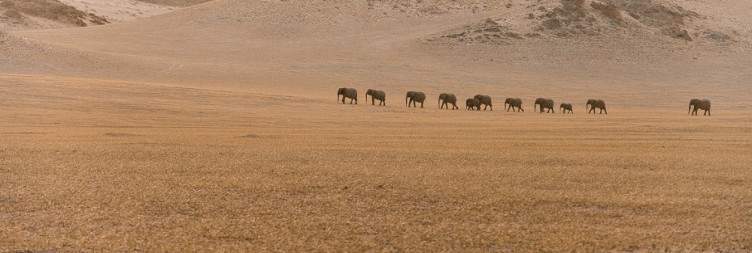 12-Day Namibia Classic Accommodated Safari