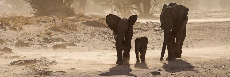 Damaraland