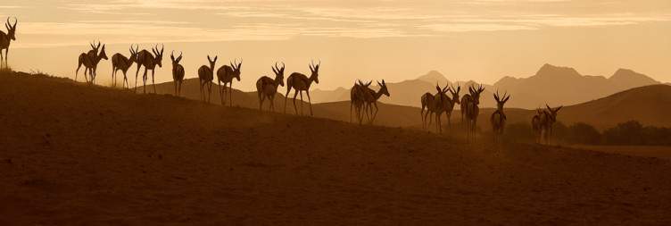 Damaraland