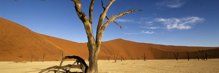 Deadvlei