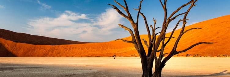 Exploring Sossusvlei