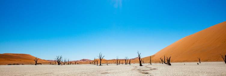 Sossusvlei & Deadvlei Exploration