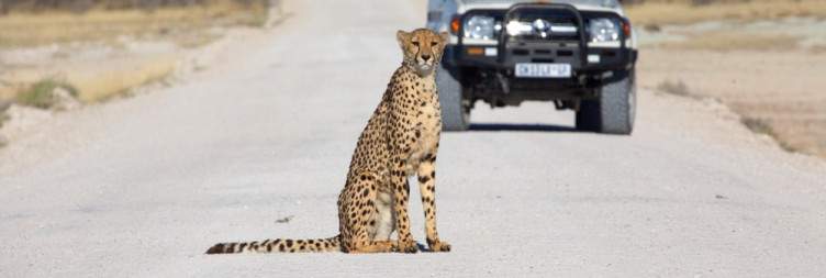 Etosha National Park