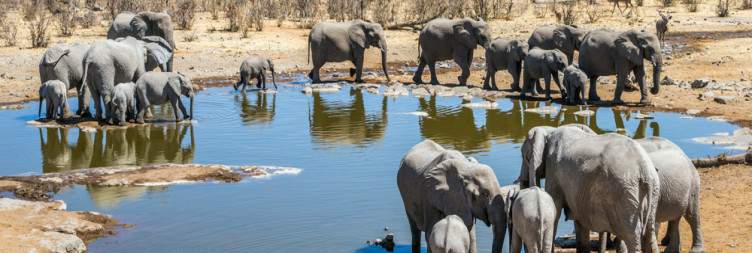 Okonjima - Eastern Etosha National Park