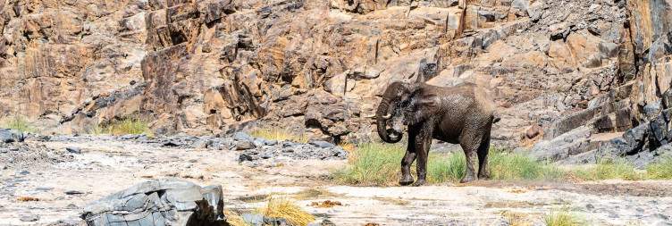 Explore Namibia's Iconic Erongo Mountains