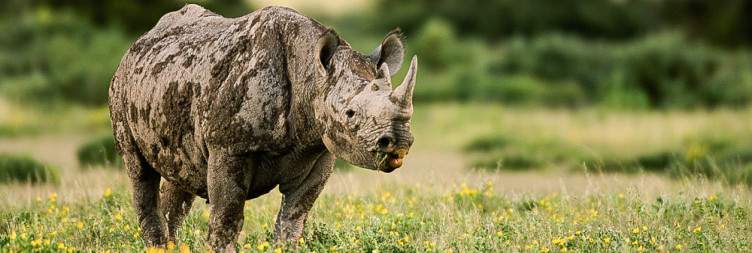Self-Drive to Etosha National Park