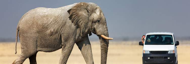 Etosha National Park