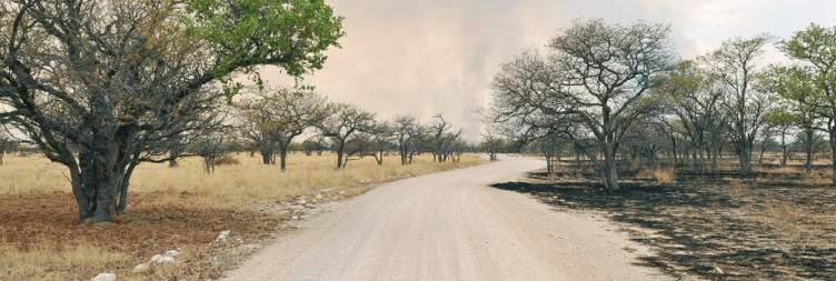 Etosha National Park