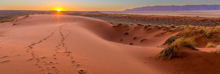 Kalahari Calm – Red Dunes and Wide Skies