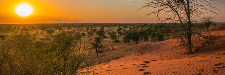 Windhoek to Kalahari Desert