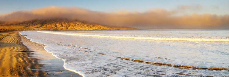A Journey from Fish River to Lüderitz- Desert Wild Horses