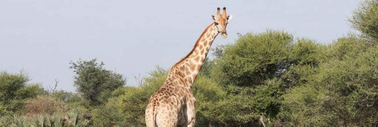 Mudumu National Park