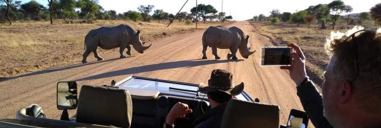 Okonjima Nature Reserve-White Rhino & Pangolin Conservation Safari