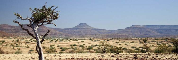 Twyfelfontein to Northern Damaraland