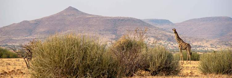 Palmwag Concession