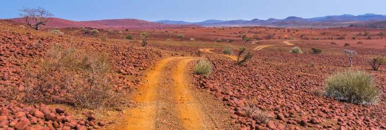 Palmwag/Grootberg Concessions- Wilderness Conservation Safari