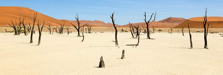 Sossusvlei, Deadvlei & Sesriem Canyon