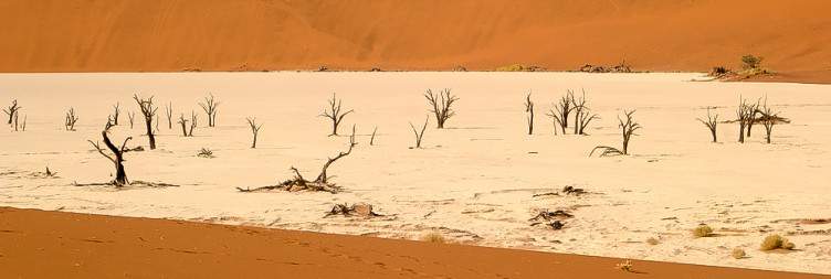 Windhoek to Namib Desert