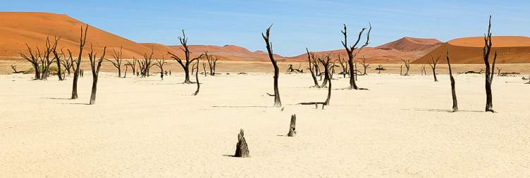 Namib Desert