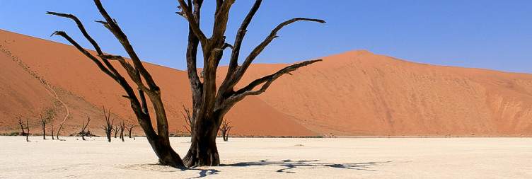 Arrival in Windhoek - Sossusvlei
