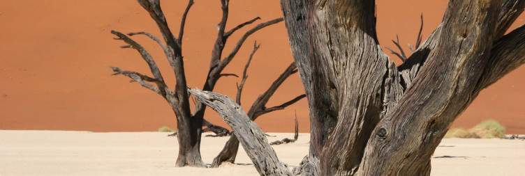 Sossusvlei and Dead Valley