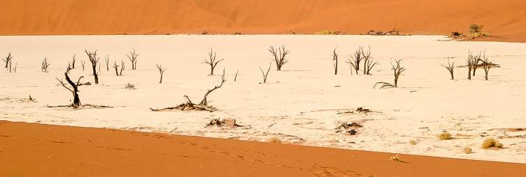 Desert Gateway – Journey to Sossusvlei