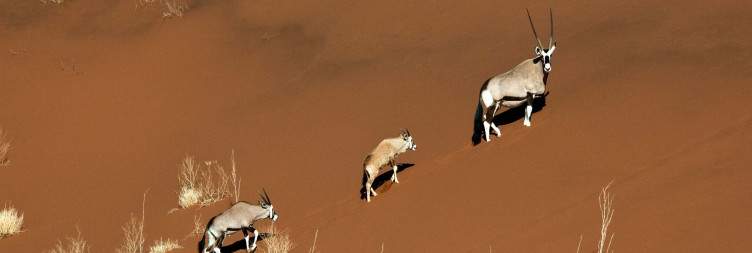 Sossusvlei