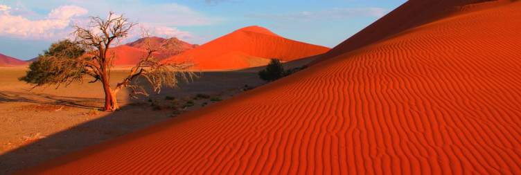 Sossusvlei & Namib Dunes