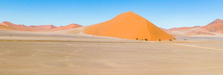 The Magic of the Namib Desert