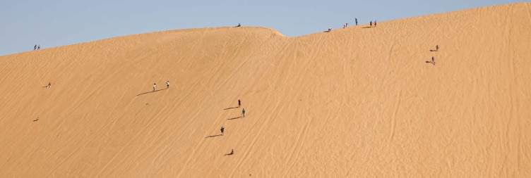 Etosha to Swakopmund