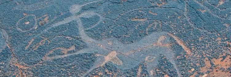 Desert Treasures – Journey to Twyfelfontein