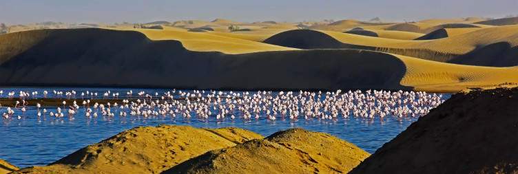 The Namibian Atlantic Coast