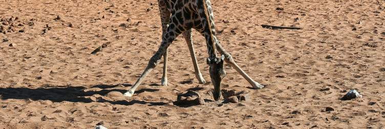 Windhoek to Waterberg Plateau Park