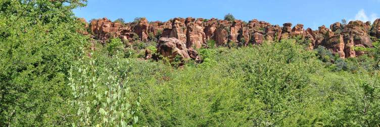 Etosha National Park – Waterberg