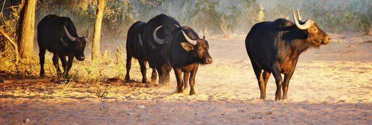 Swakopmund to Waterberg Plateau National Park