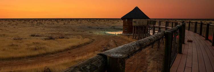 Hobatere Concession-Western Etosha Conservation & Night Drive Safari