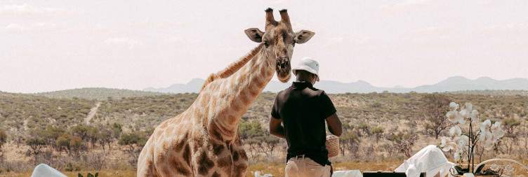 Return to Windhoek- Farewell Etosha & Reflection Drive