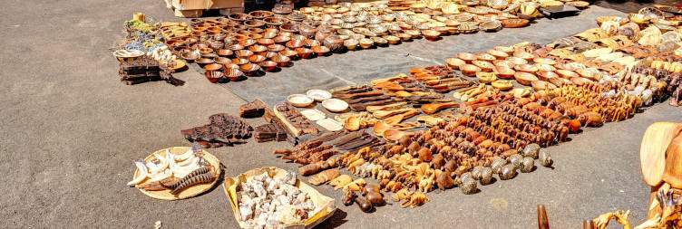 Ova Himba Cultural Tour & Travel to Windhoek