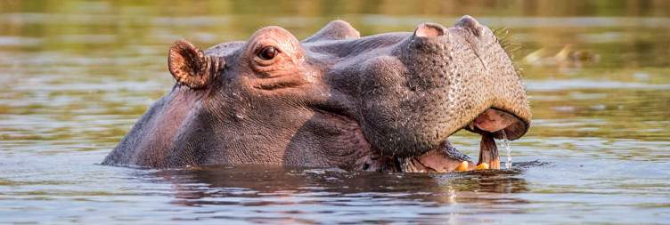 Zambezi Region