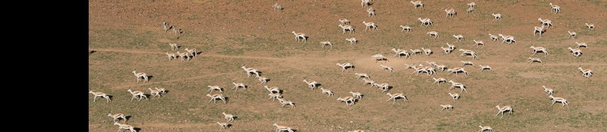 10-Day Southern Escape Namibian Safari