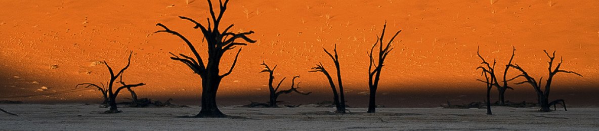 8-Day Mid-Range Safari & Scenic Tour of Namibia