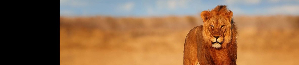 7-Day The Namibia Explorer - Dunes to Wildlife