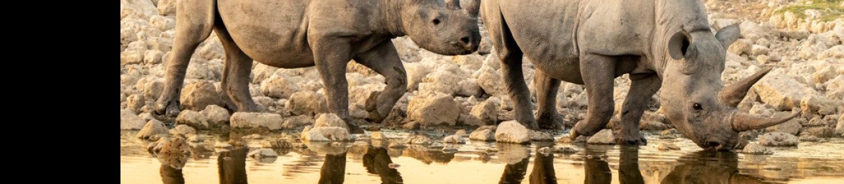 7-Day Solitaire, Sossusvlei, Walvis Bay & Etosha -Guided