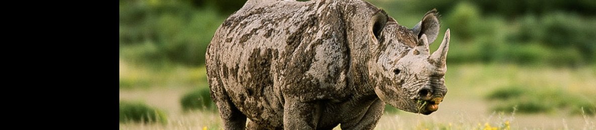 4-Day Etosha Wild Escape Camping Safari