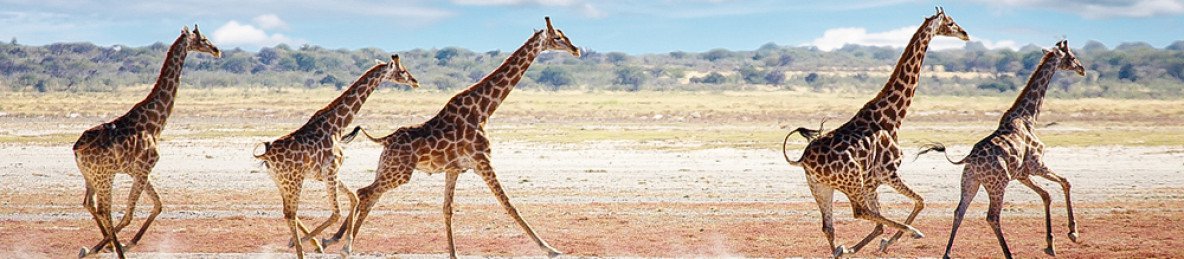 10-Day Epic Namibian Fly-in Safari