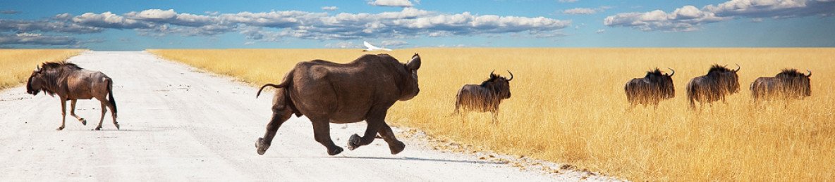 14-Day Namibia Explorer Camping Combo Self Drive