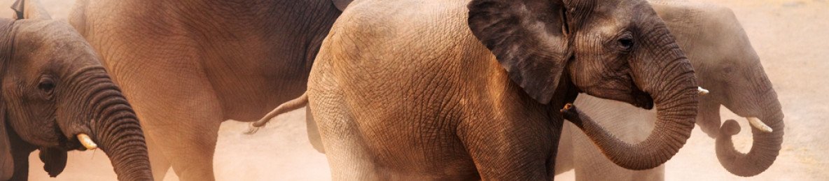 12-Day Classic Namibia Self-Drive Safari