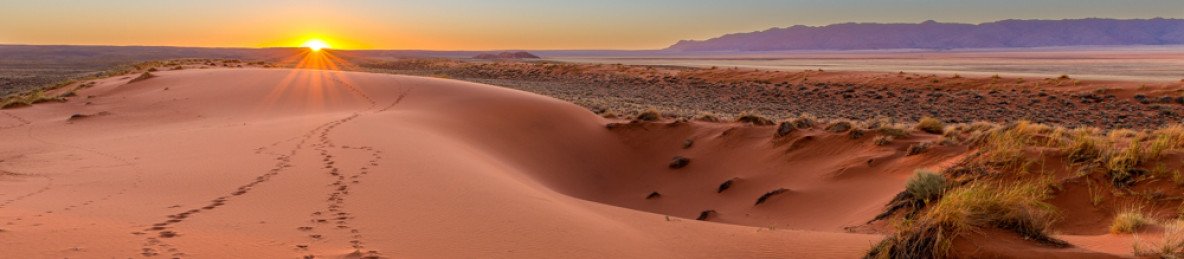 7-Day Namibia in a Nutshell Guided Safari