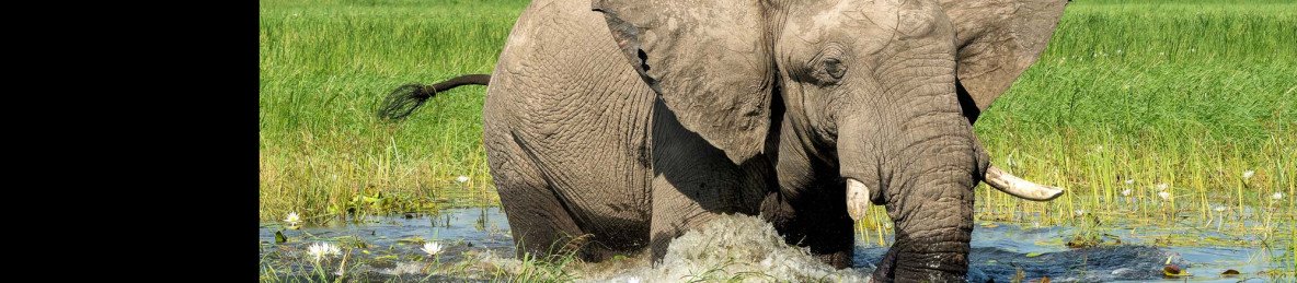 21-Day Comprehensive Namibia Safari Tour